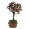 bonsai_loropetalum_rubrum_5_anos_30_cm_9961_2_b67767a867301a4f17e17121d838ff12