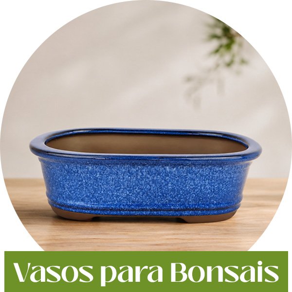 vasos para bonsai
