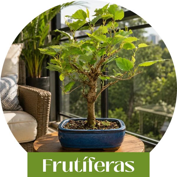 frutiferas