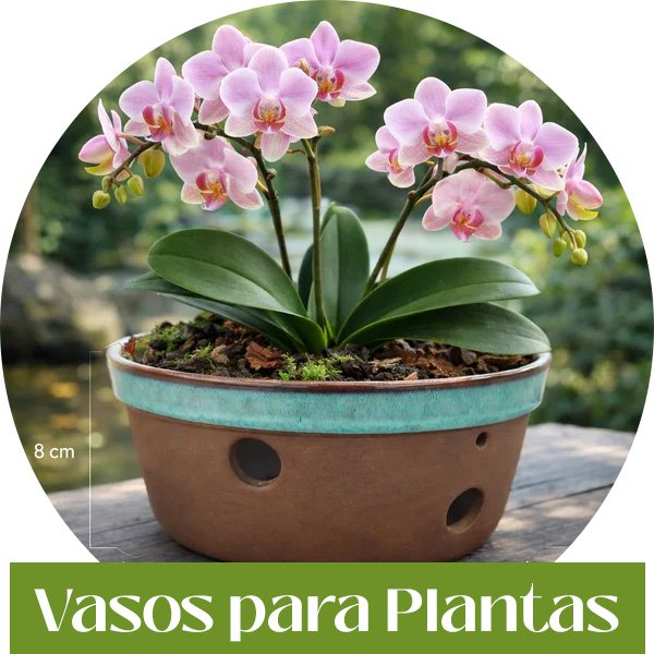vasos para plantas